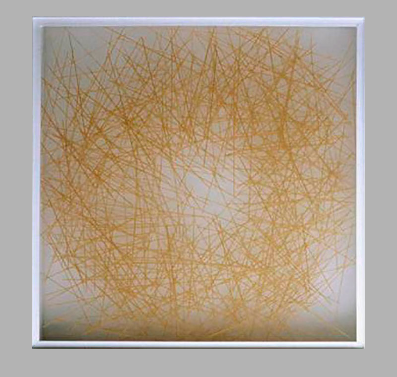 Dorothea Frigo